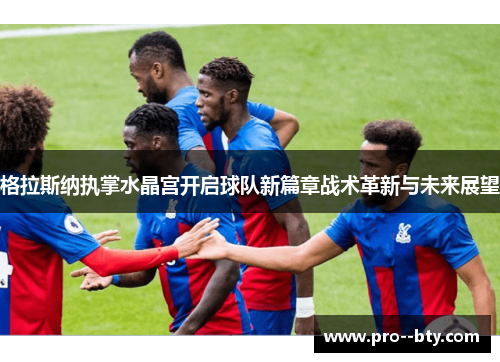 格拉斯纳执掌水晶宫开启球队新篇章战术革新与未来展望