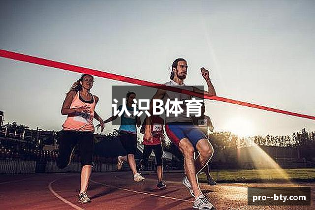 认识B体育